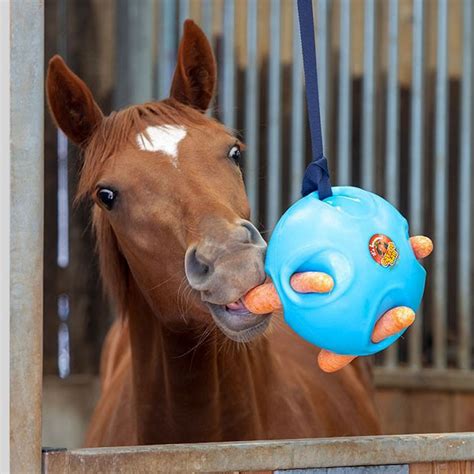 oxbow metal balls in box|Enrichment Toys for Small Animals .